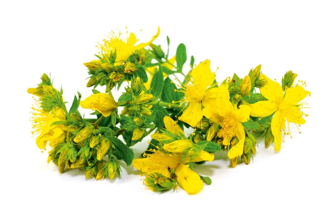 St John's Wort in the Nicode Spray